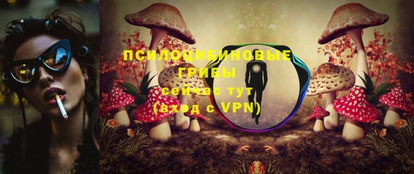 кристаллы Инта