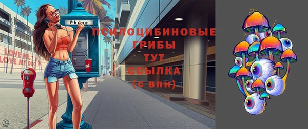 кристаллы Инта
